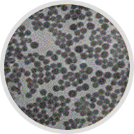 Colloidal silicate 2